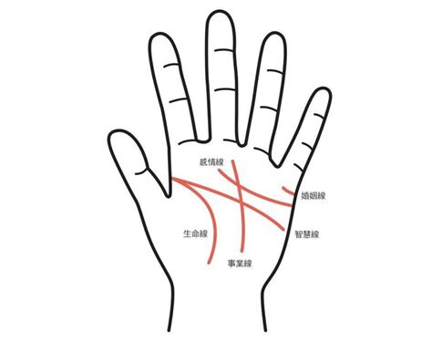 感情線上方多一條線|【手相館】掌紋 (生命線、感情線、智慧線、婚姻線、太陽線、火。